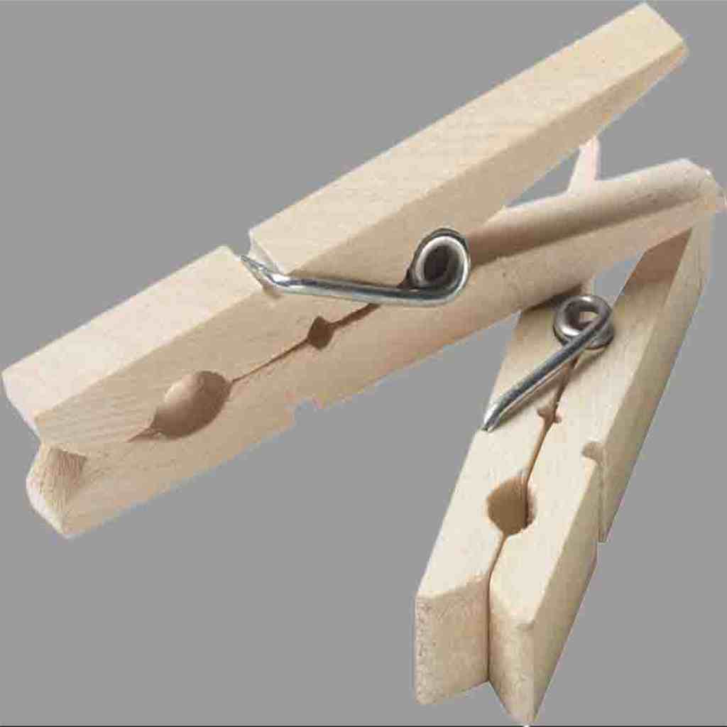 Clothes Pins (50 pack)